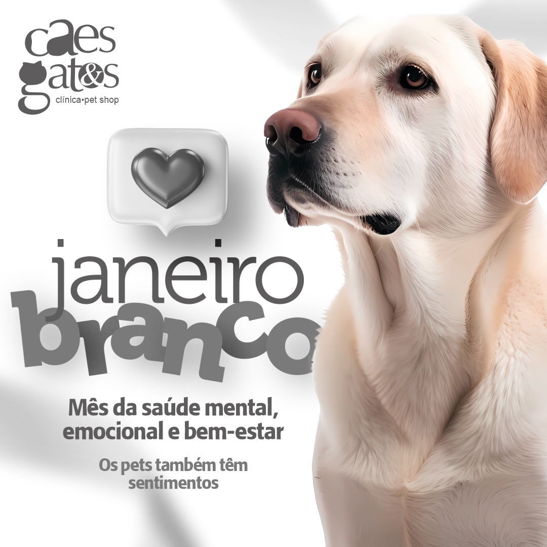 Janeiro Branco | Mês da saúde emocional | Clínica Cães Cães Gatos