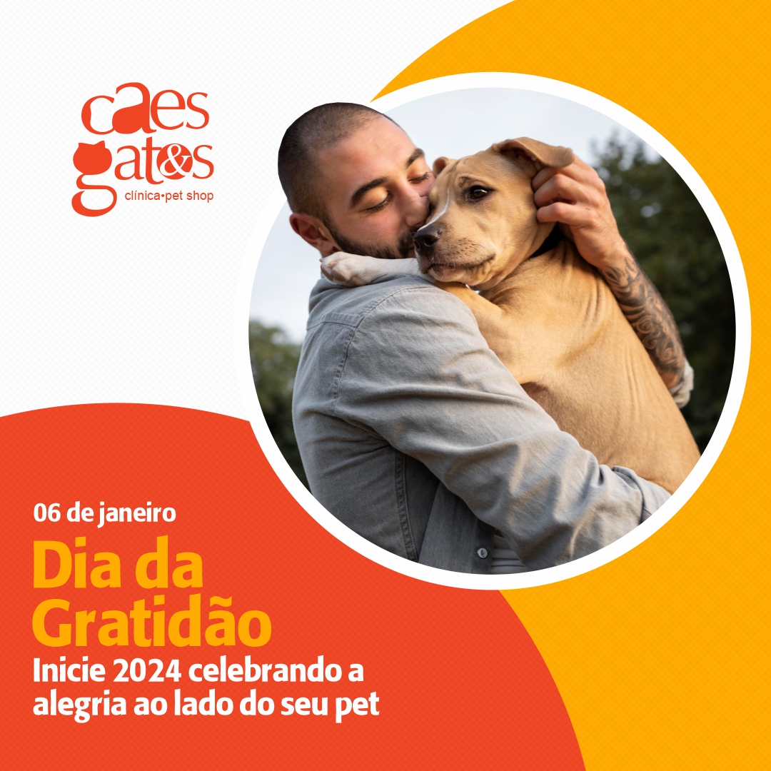 06/01 – Dia da Gratidão | Cães e Gatos