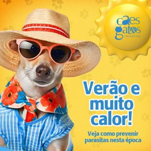 Verão e muito calor | Veja como prevenir parasitas nessa época