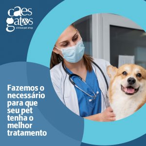 Internação | Fazemos o necessário para que seu pet tenha o melhor tratamento