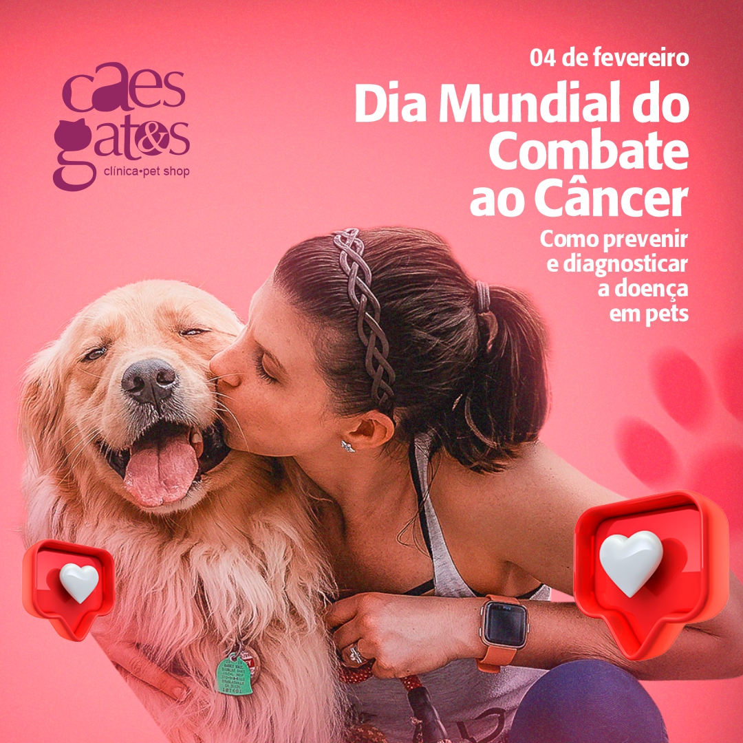 04/02 | Dia Mundial do Combate ao Câncer | Como prevenir e diagnosticar a doença em pets