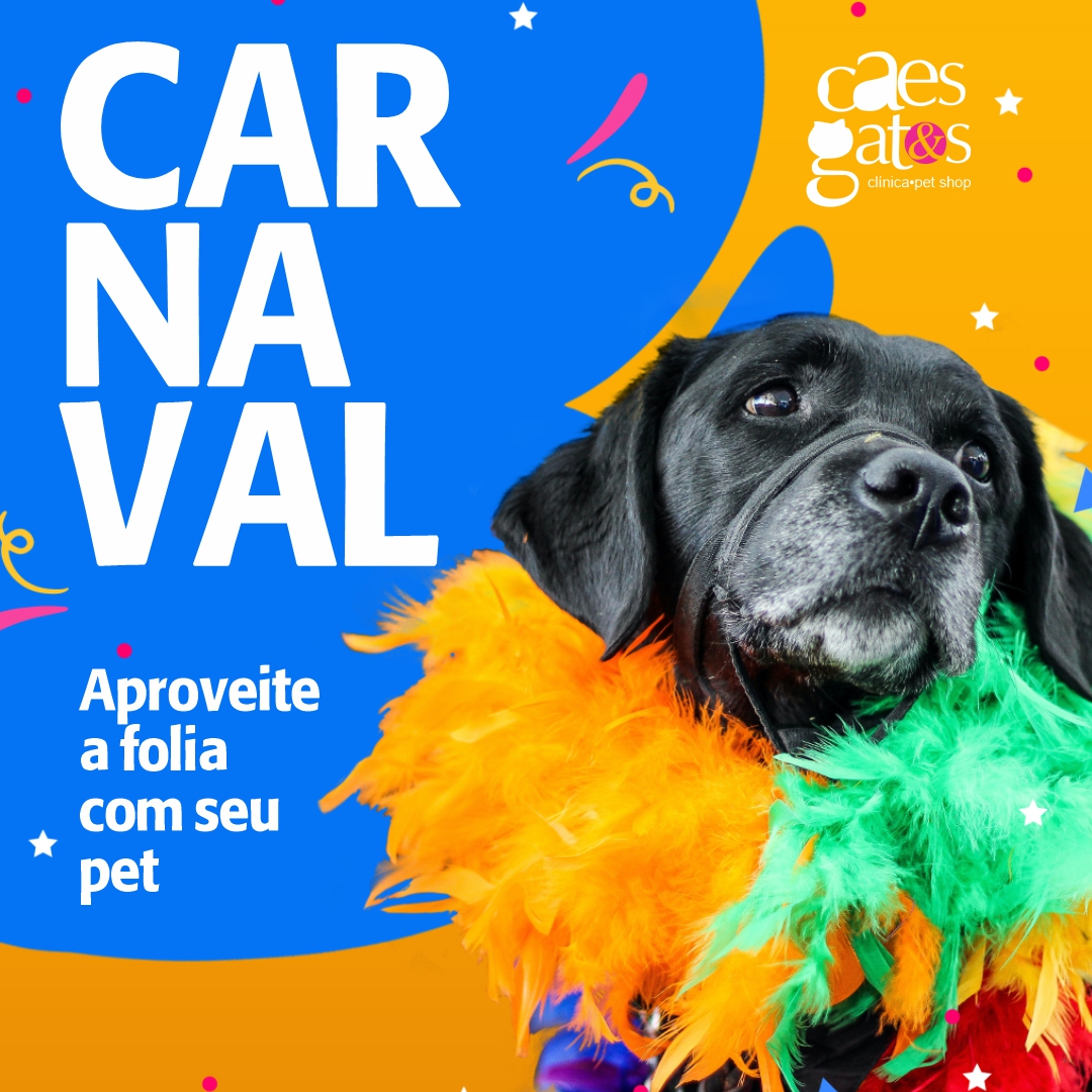 Carnaval | Aproveite a folia com seu pet