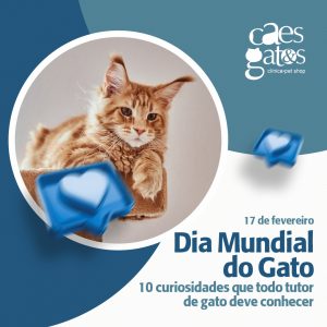 17/02 – Dia Mundial do Gato