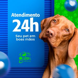 Atendimento 24h | Seu pet em boas mãos