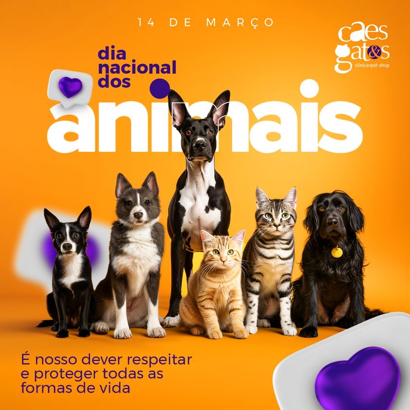 Dia Nacional dos Animais | 14/03