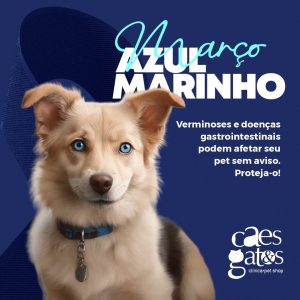 Março azul marinho – Verminoses e doenças gastrointestinais | Clínica Cães e Gatos