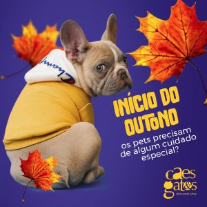 Início do outono | Os pets precisam de algum cuidado especial?