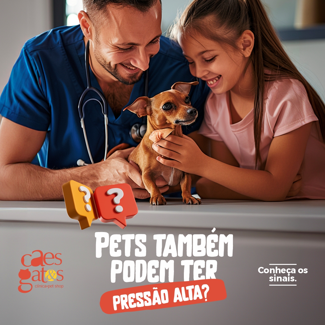 Pets também podem ter pressão alta?