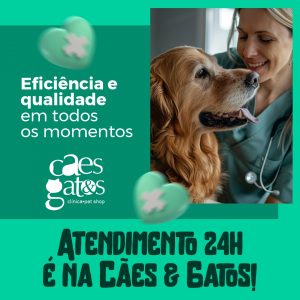 Eficiência e qualidade em todos os momentos | Atendimento 24h é na Cães e Gatos