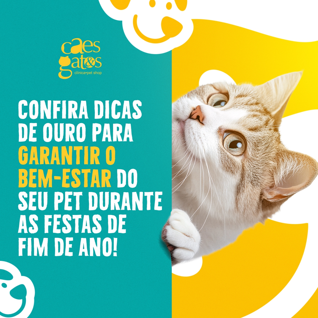 Dicas de ouro para o bem-estar do seu pet nas festas de fim de ano | Clínica Cães e Gatos