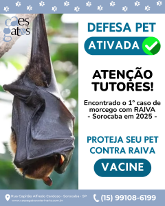 1º caso de morcego com Raiva | Sorocaba 2025