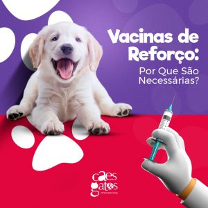 Vacinas de reforço: Por que são necessárias?