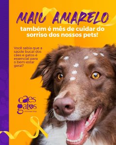 Maio amarelo também é mês de cuidar do sorriso dos nossos pets