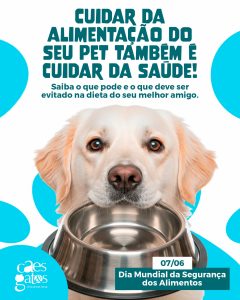 O que deve ser evitado na dieta do seu melhor amigo | Clínica Cães e Gatos