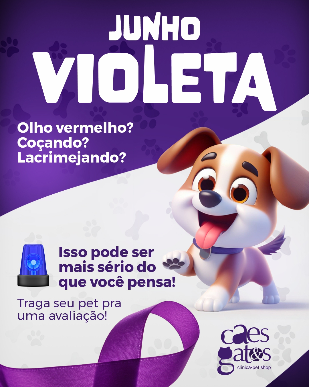 Junho violeta | Prevenção doenças oculares | Clínica Cães e Gatos