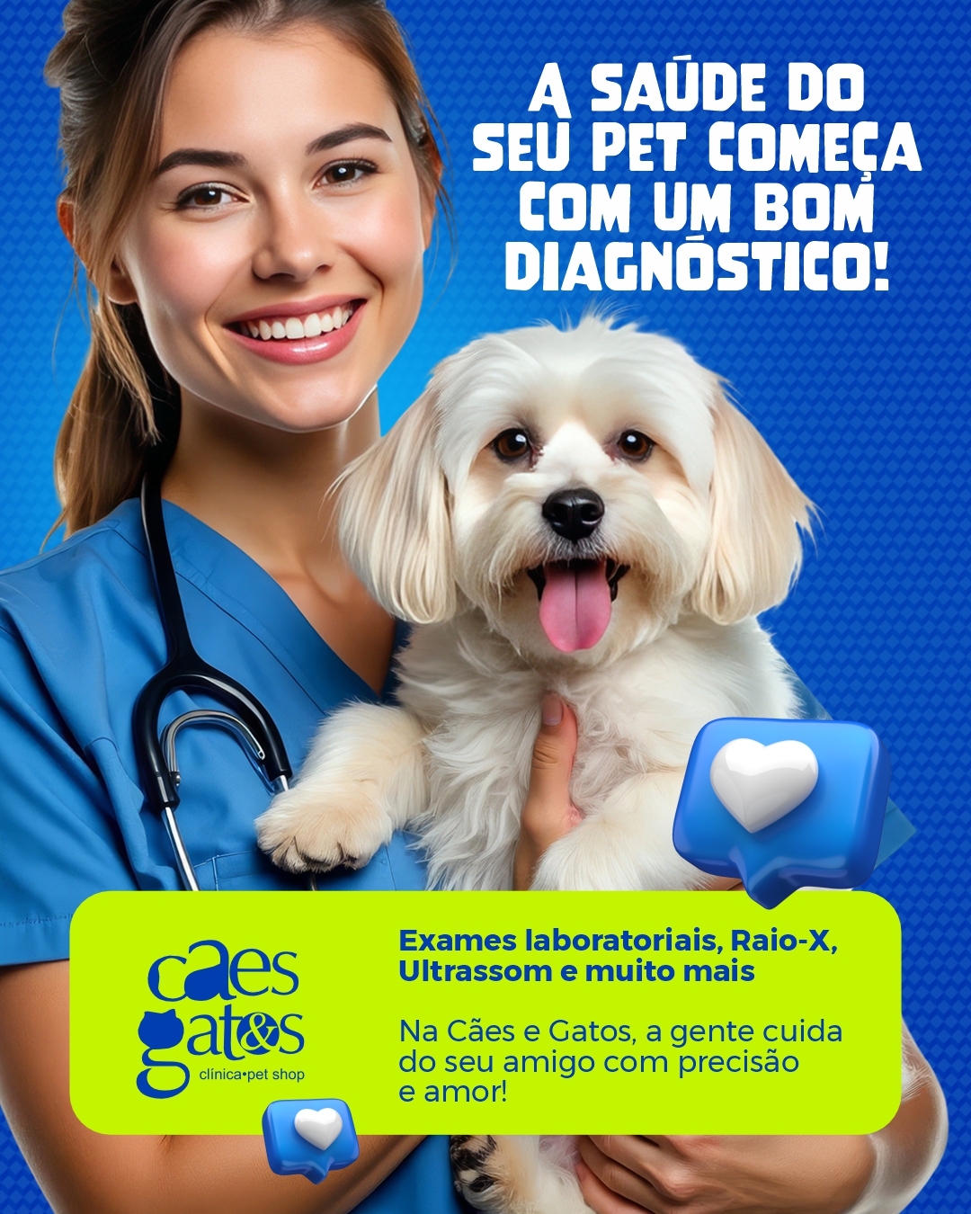 A saúde do seu pet começa com um bom diagnóstico | Clínica Cães e Gatos