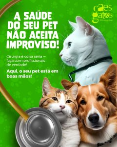 A saúde do seu pet não aceita improviso | Cirurgia com profissionais de verdade