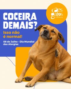 Coceira demais? Isso não é normal | 08/07 Dia Mundial das Alergias