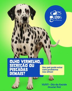 Olho vermelho, secreção ou piscadas demais? Seu pet pode estar com problema nos olhos!