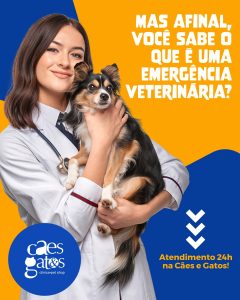 Você sabe o que é uma emergência veterinária? | Atendimento 24h