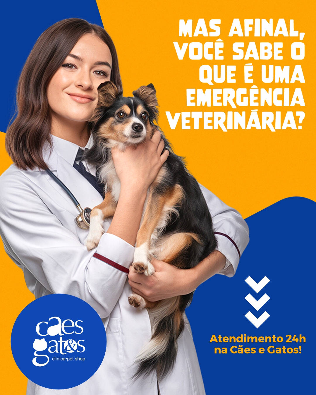 Você sabe o que é uma emergência veterinária? | Atendimento 24h