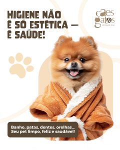 Higiene não é só estética, é saúde! | Clínica Cães e Gatos
