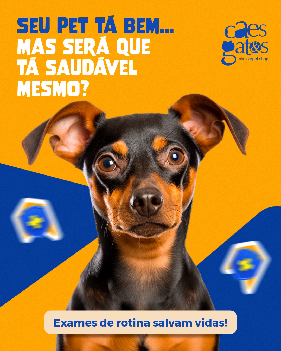 Seu pet tá bem, mas será que tá saudável mesmo?