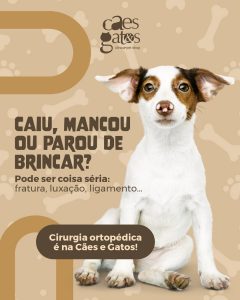 Caiu, mancou ou parou de jogar? Pode ser coisa séria