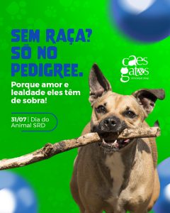 Sem raça? Só no pedigree. Porque amor e lealdade eles têm de sobra! | 31/07 Dia do Animal SRD