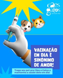 Vacinação em dia é sinônimo de amor | Clínica Cães e Gatos