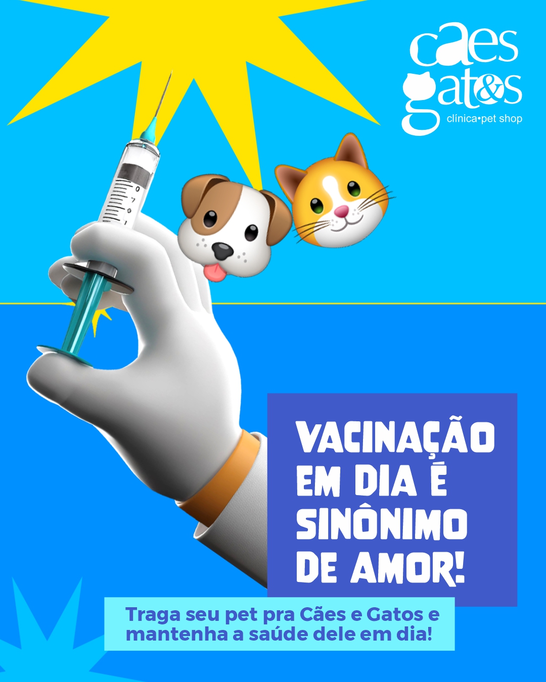 Vacinação em dia é sinônimo de amor | Clínica Cães e Gatos
