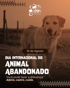 16/08 | Dia Internacional do Animal Abandonado