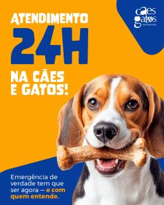 Atendimento 24h | Emergência tem que ser com quem entende