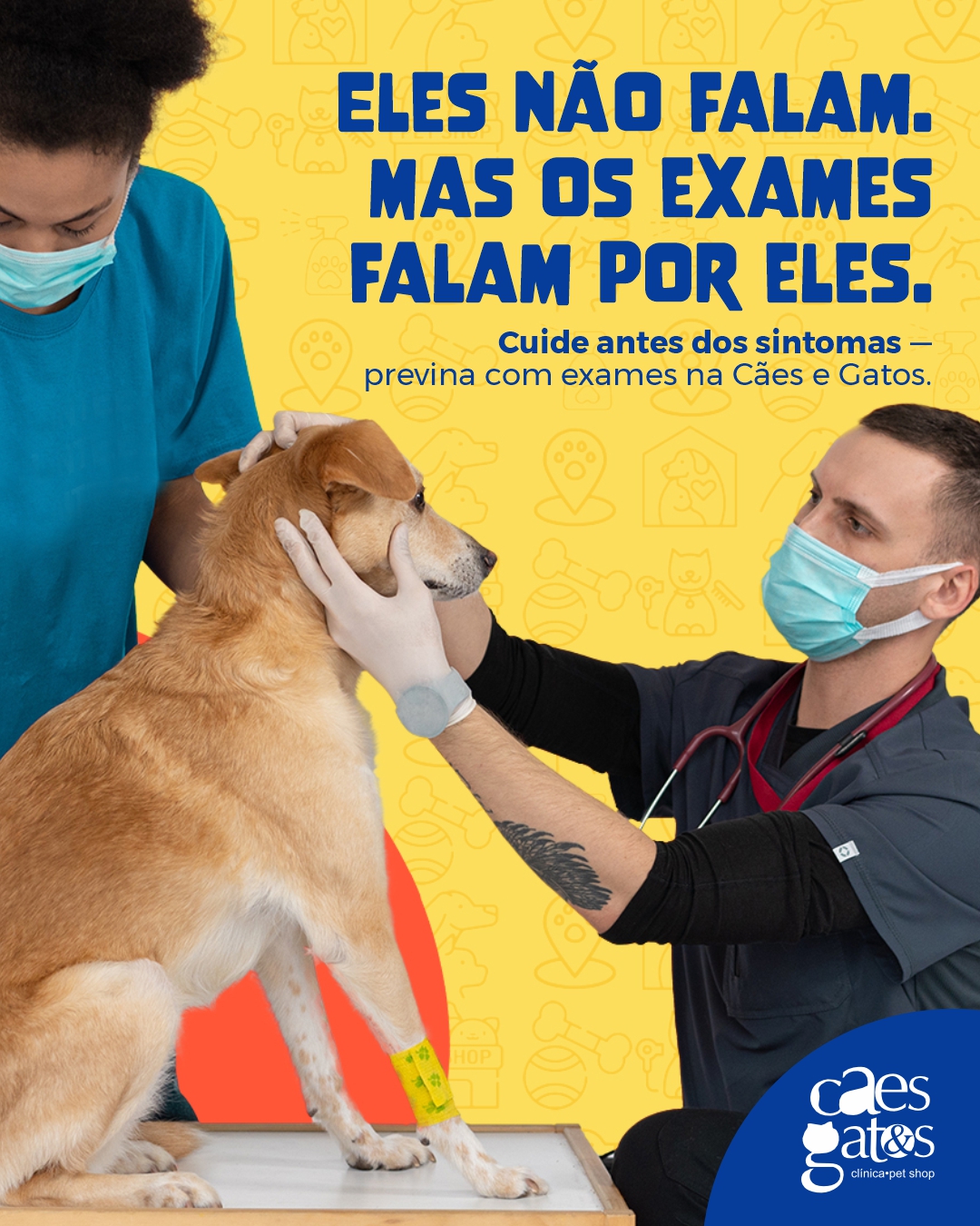 Eles não falam. Mas os exames falam por eles