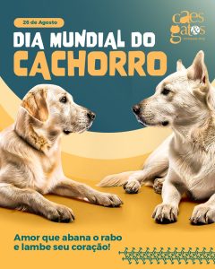 26/08 | Dia Mundial do Cachorro