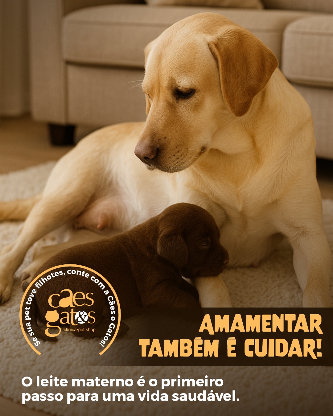 Amamenta também é cuidar | Clínica Cães e Gatos