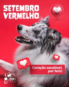 Setembro vermelho | Coração saudável, pet feliz!