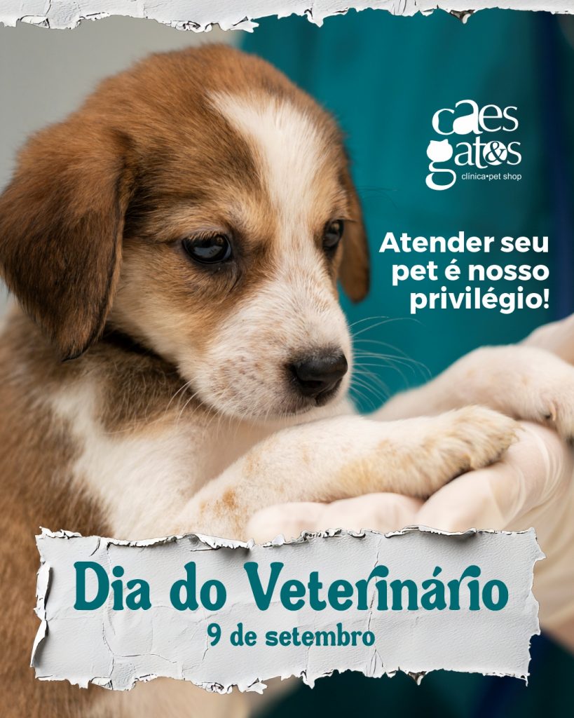 CãesEGatos C54_02