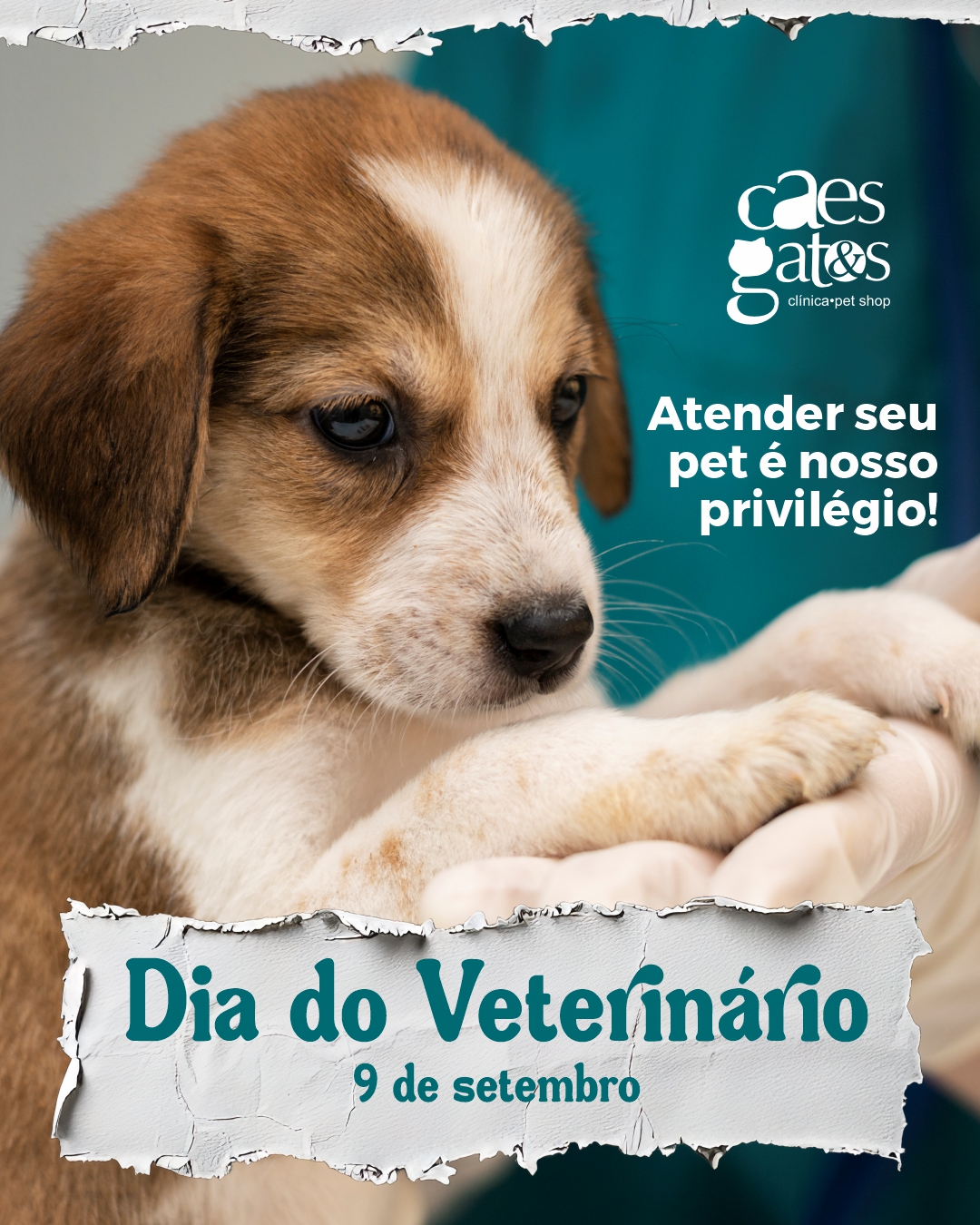 09/09 – Dia do Veterinário | Atender seu pet é nosso privilégio