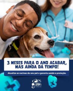 3 meses para o ano acabar, mas ainda dá tempo! Atualize as vacinas do seu pet