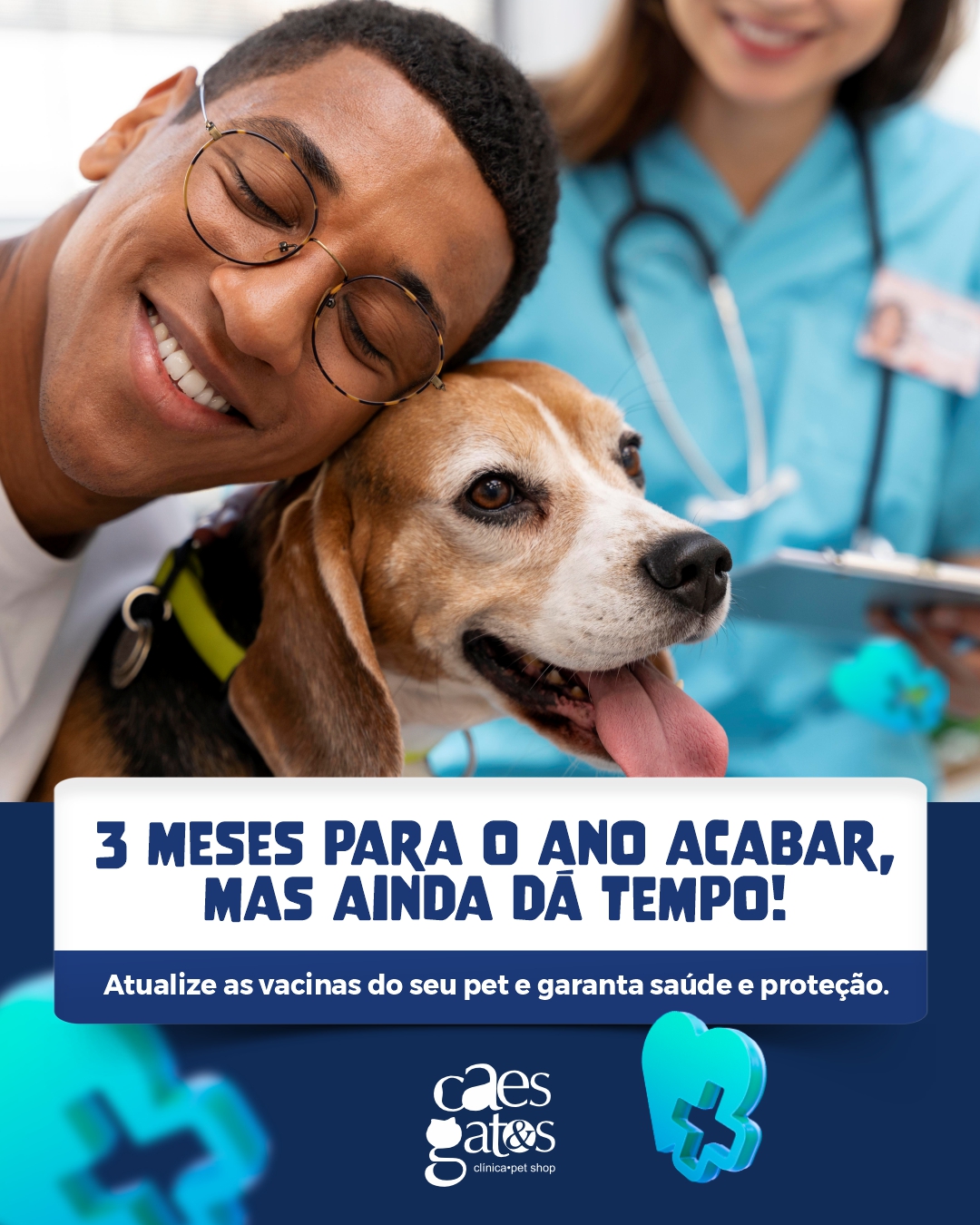 3 meses para o ano acabar, mas ainda dá tempo! Atualize as vacinas do seu pet