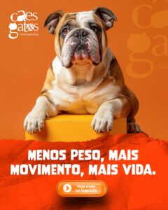 Menos peso, mais movimento, mais vida | 19/09 Dia do Ortopedista