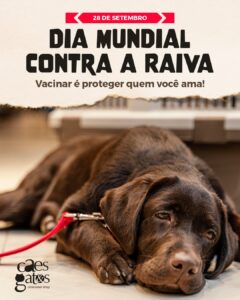 Dia Mundial Contra a Raiva | Vacinar é proteger quem você ama