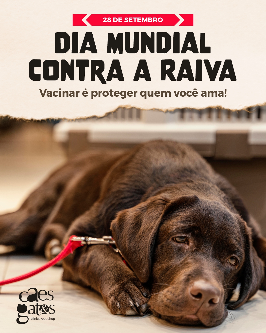 Dia Mundial Contra a Raiva | Vacinar é proteger quem você ama