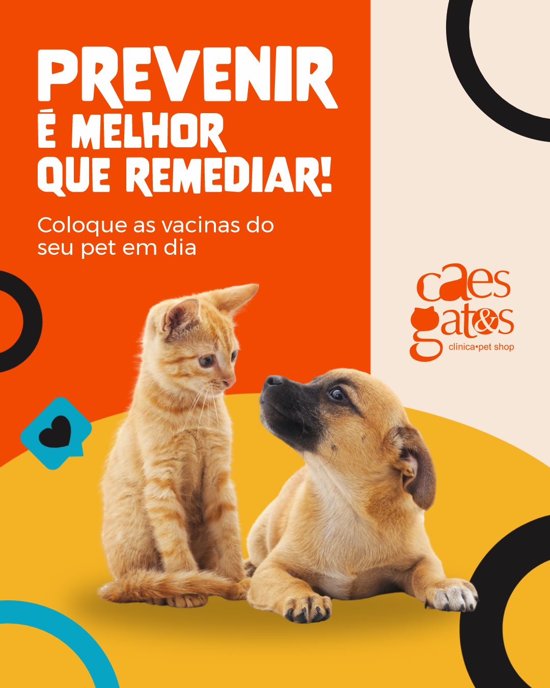 Prevenir é melhor que remediar! Coloque as vacinas do seu pet em dia