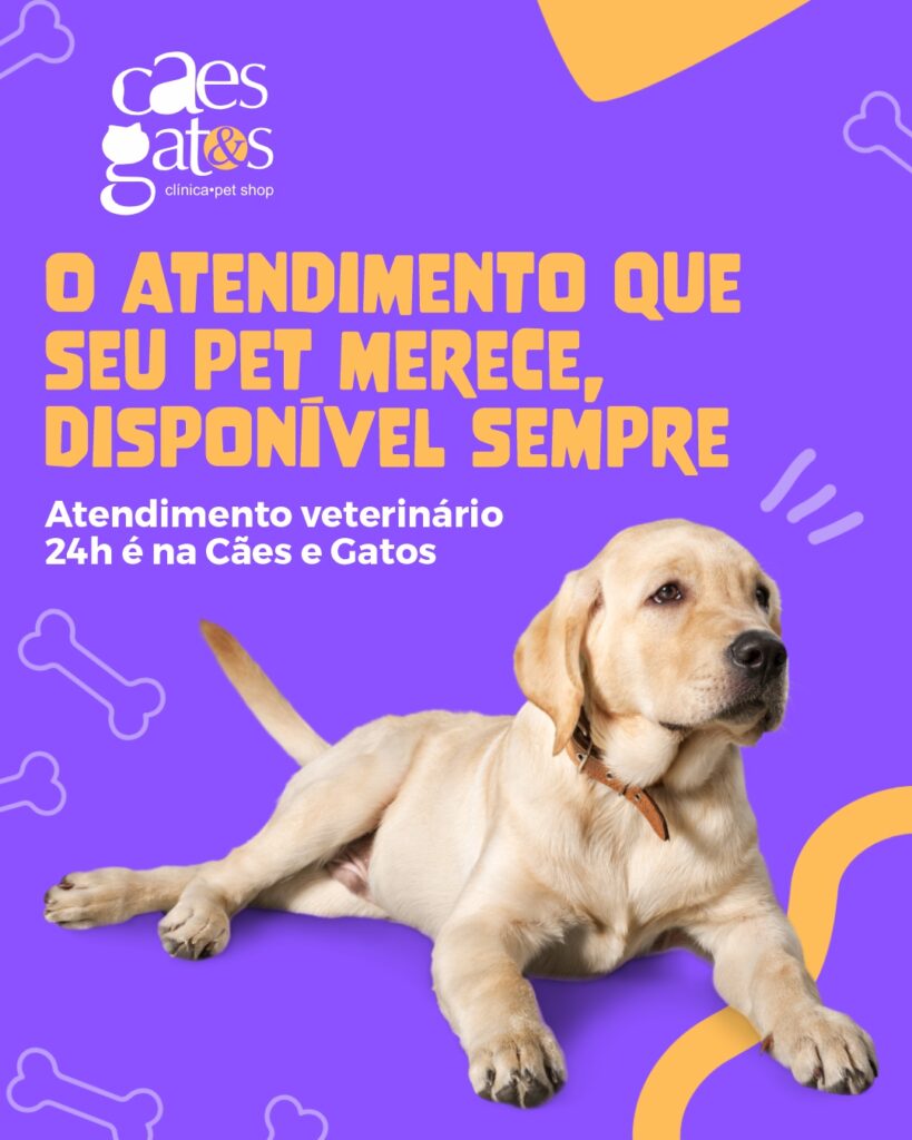 Cães C55_04 Cães C55_04
