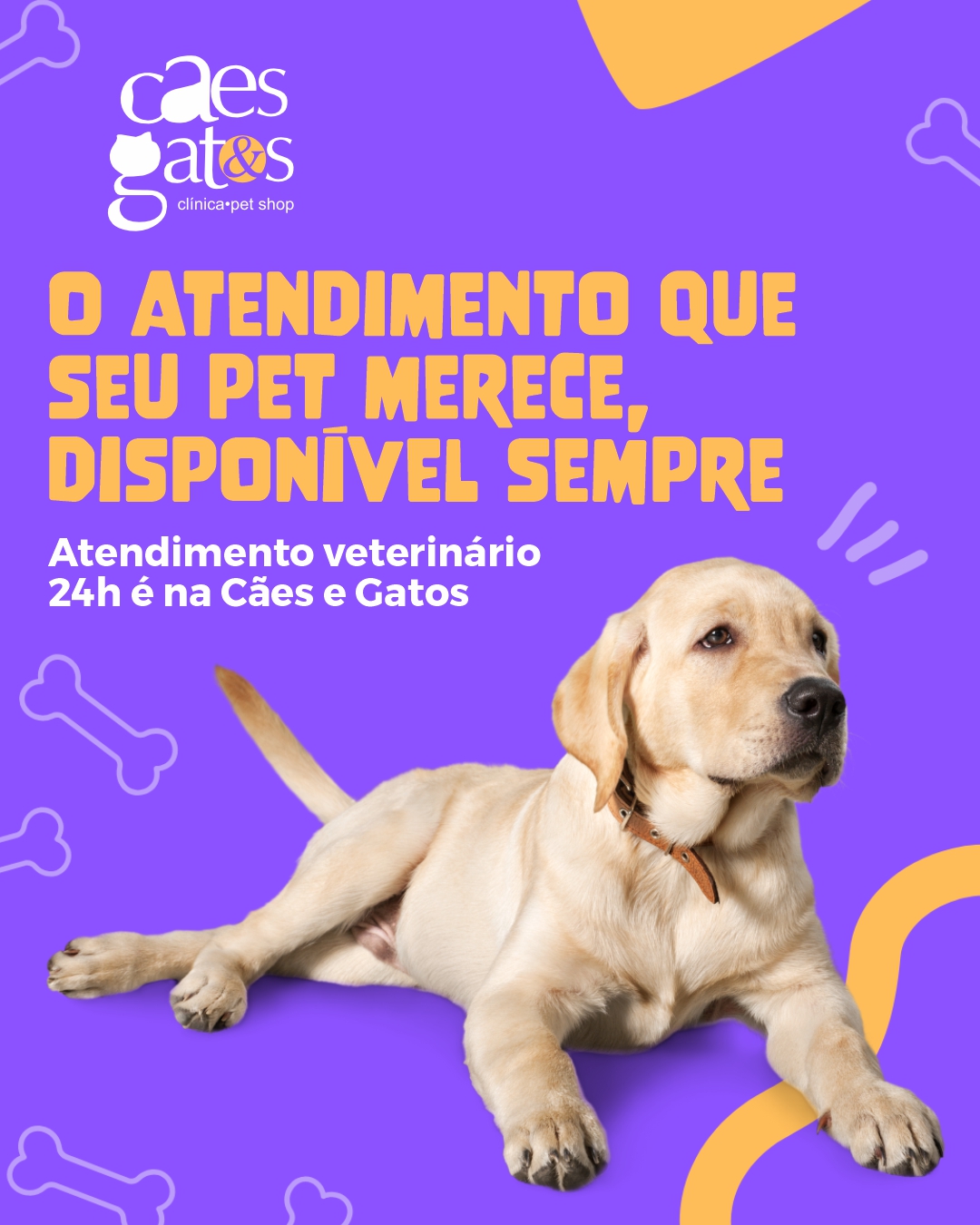 O atendimento que seu pet merece, disponível sempre | Atendimento 24h