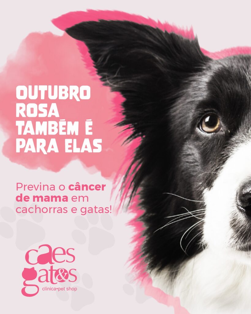 Cães C55_06 Cães C55_06