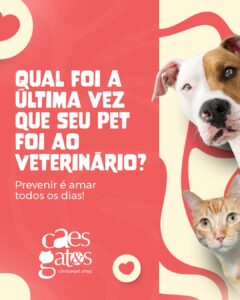 Qual foi a última vez que seu pet foi ao veterinário? | Clínica Cães e Gatos