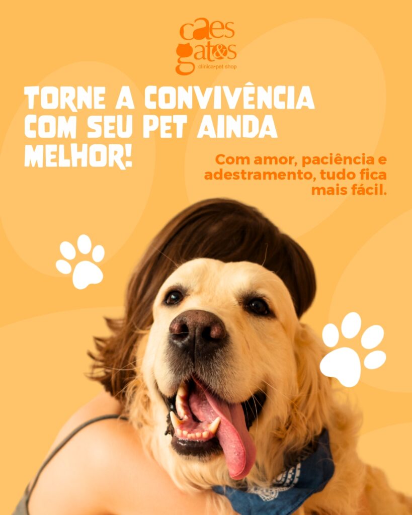 Cães C56_01 Cães C56_01